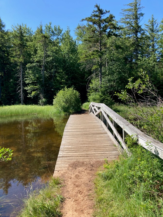 View of wooden bridge over lake.