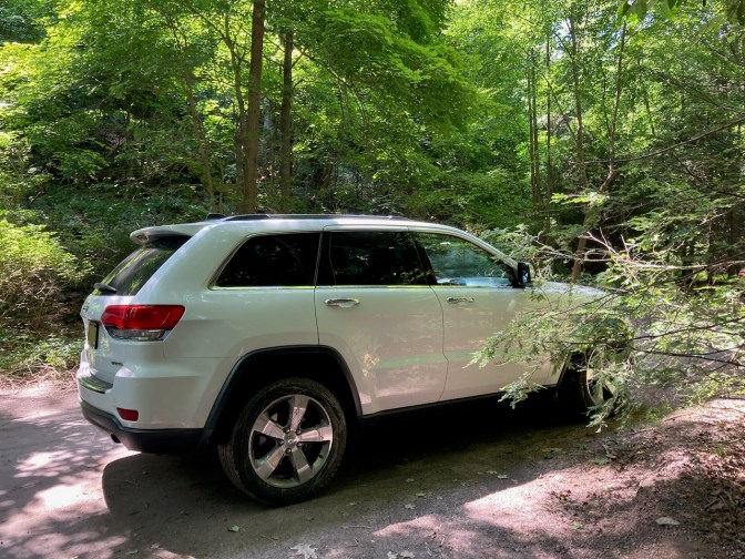 2014 White Jeep Grand Cherokee, parked among trees in gravel lot.