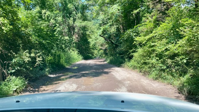 Mud and gravel-covered road, with trees on both sides.