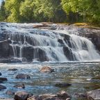 Go Back to Your Woods.