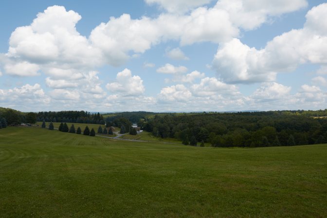 Hillside, looking downward to small buildings and a line of trees.