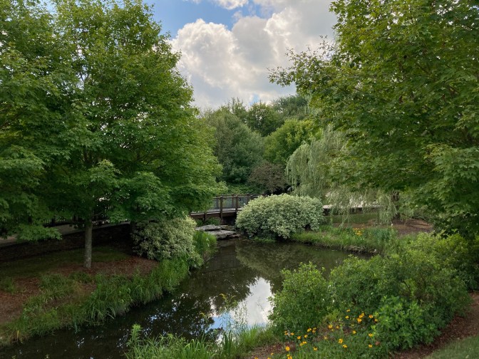Stream and garden with bridge over stream.