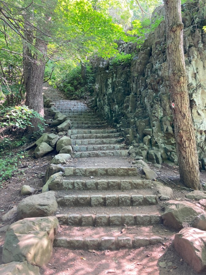 Staircase carved into hillside.