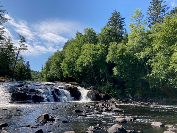 View of Buttermilk Falls and surrounding woods.