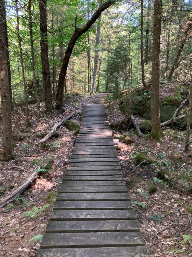 Wooden bridge across trail in woods.
