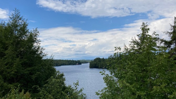 View of lake through tree branches.