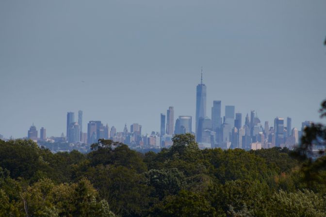 View of New York skyline beyond tree line.