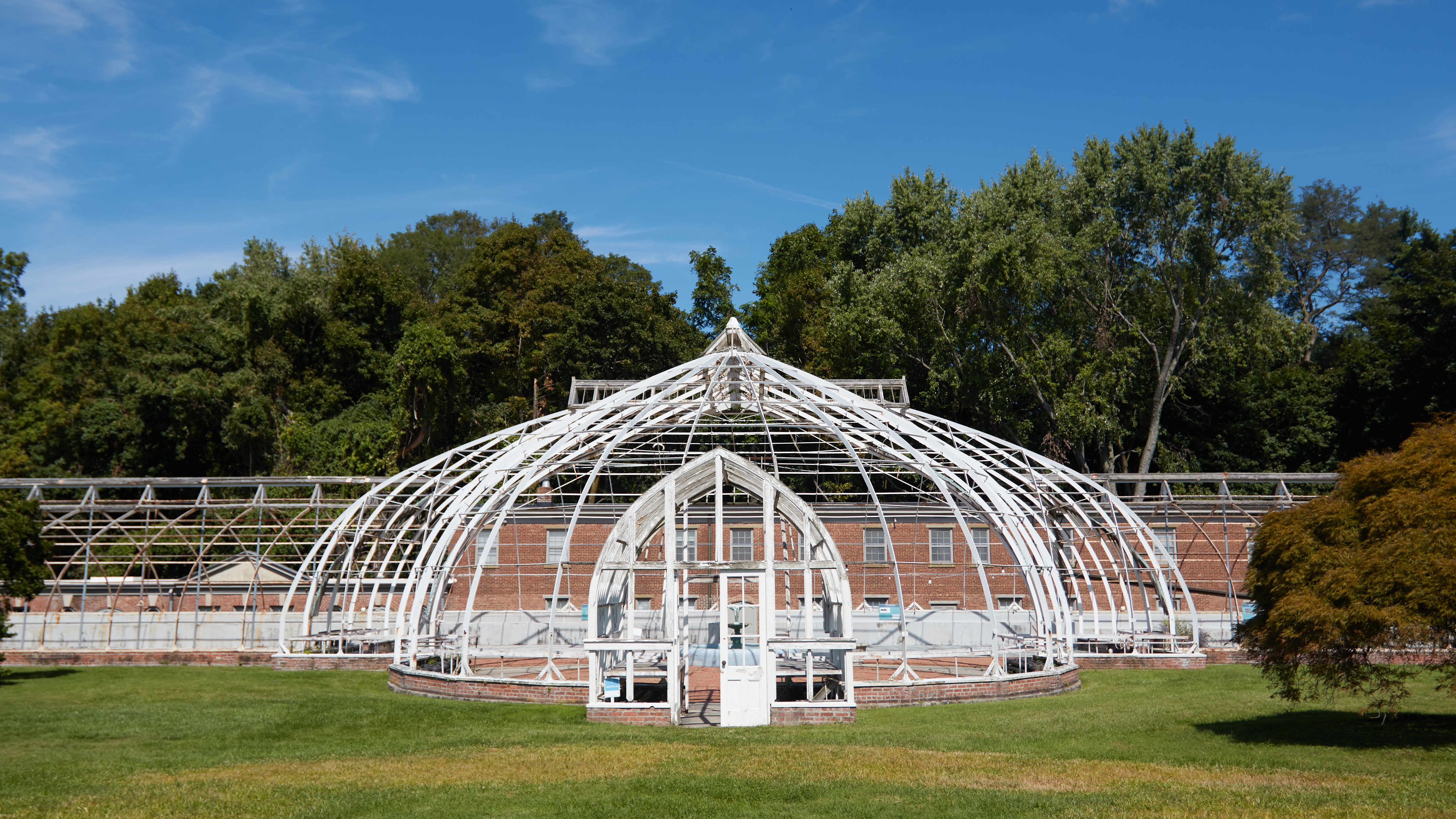 Greenhouse conservatory, now just a metal wire structure.