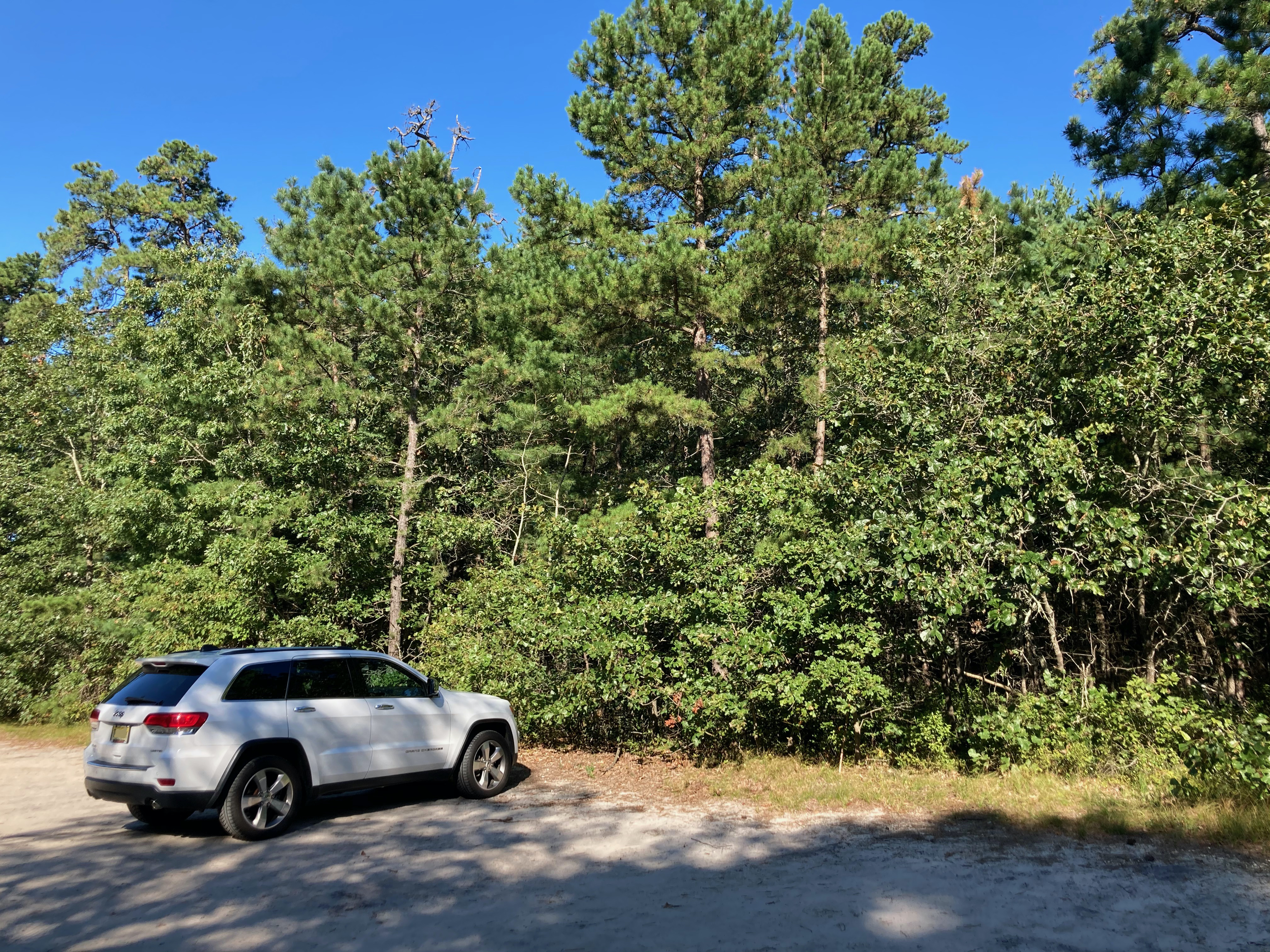 White Jeep Grand Cherokee parked in empty sand lot, with trees in background.