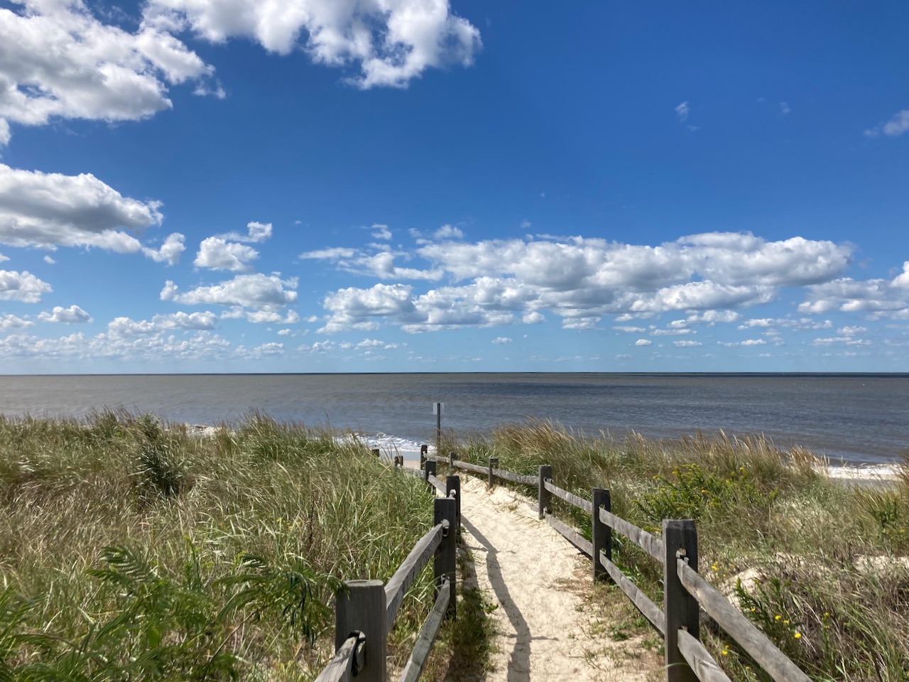 View of pathway through dunes to beach.