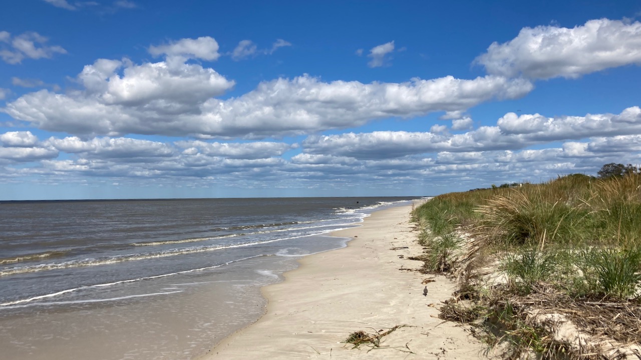 View of beach and ocean.