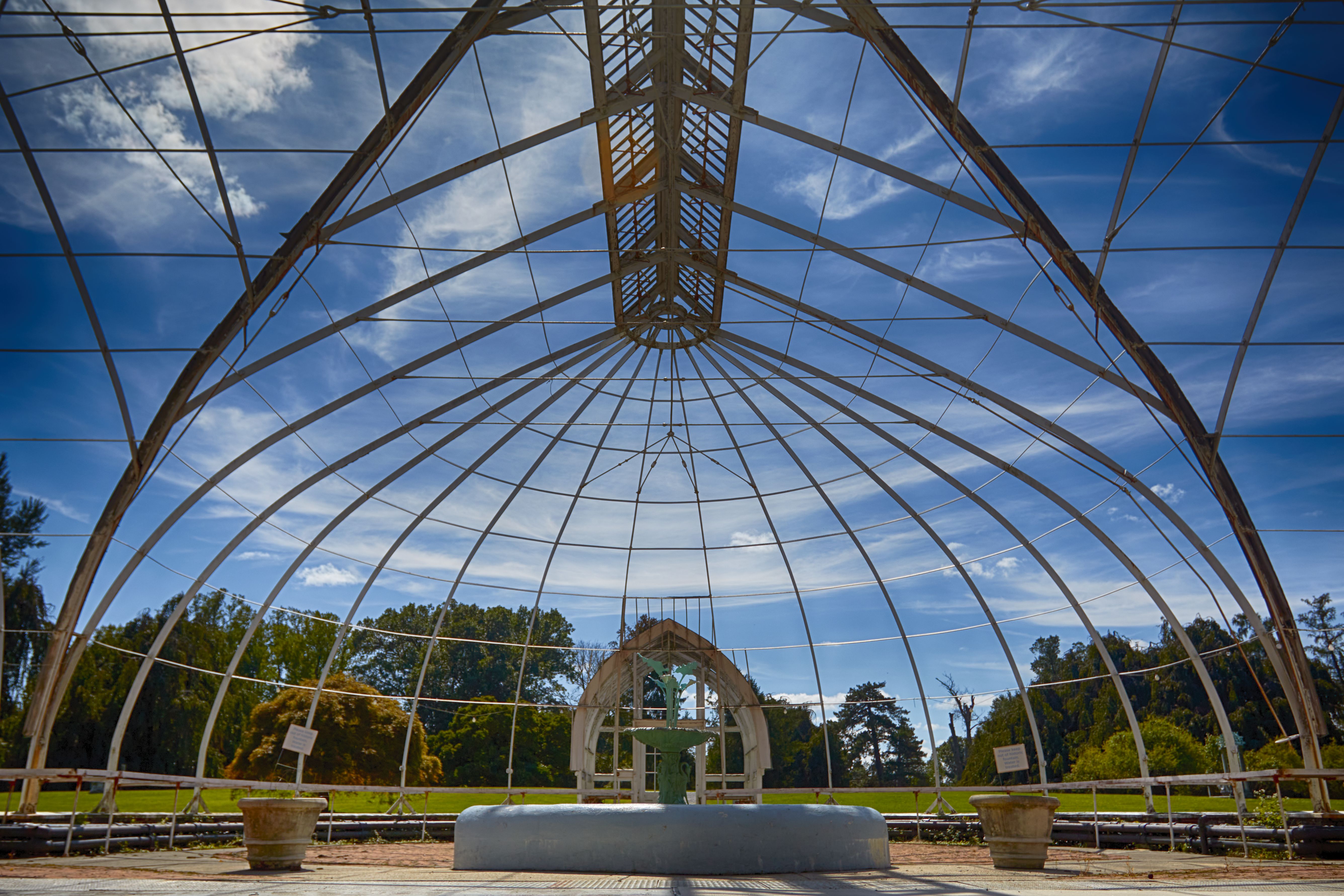 Interior of Palm House in greenhouse.