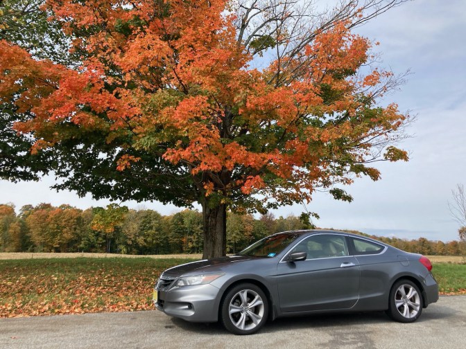 2012 Honda Accord parked in front of tree with red leaves.