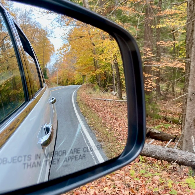 Yellow and green trees in rear view mirror of car.