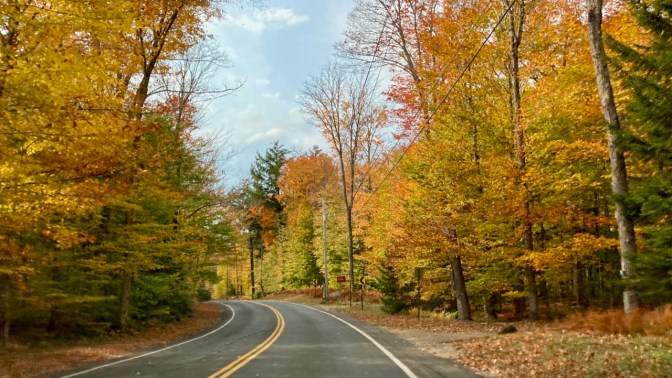 View of tree-lined South Shore Road.