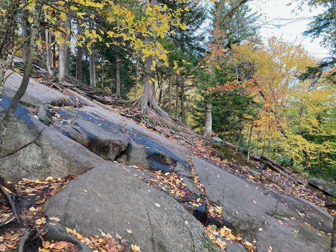 Sloping rockface with trees in the background.