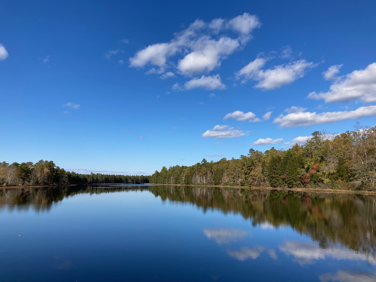 View of Batsto Lake beneath a blue, clear sky.
