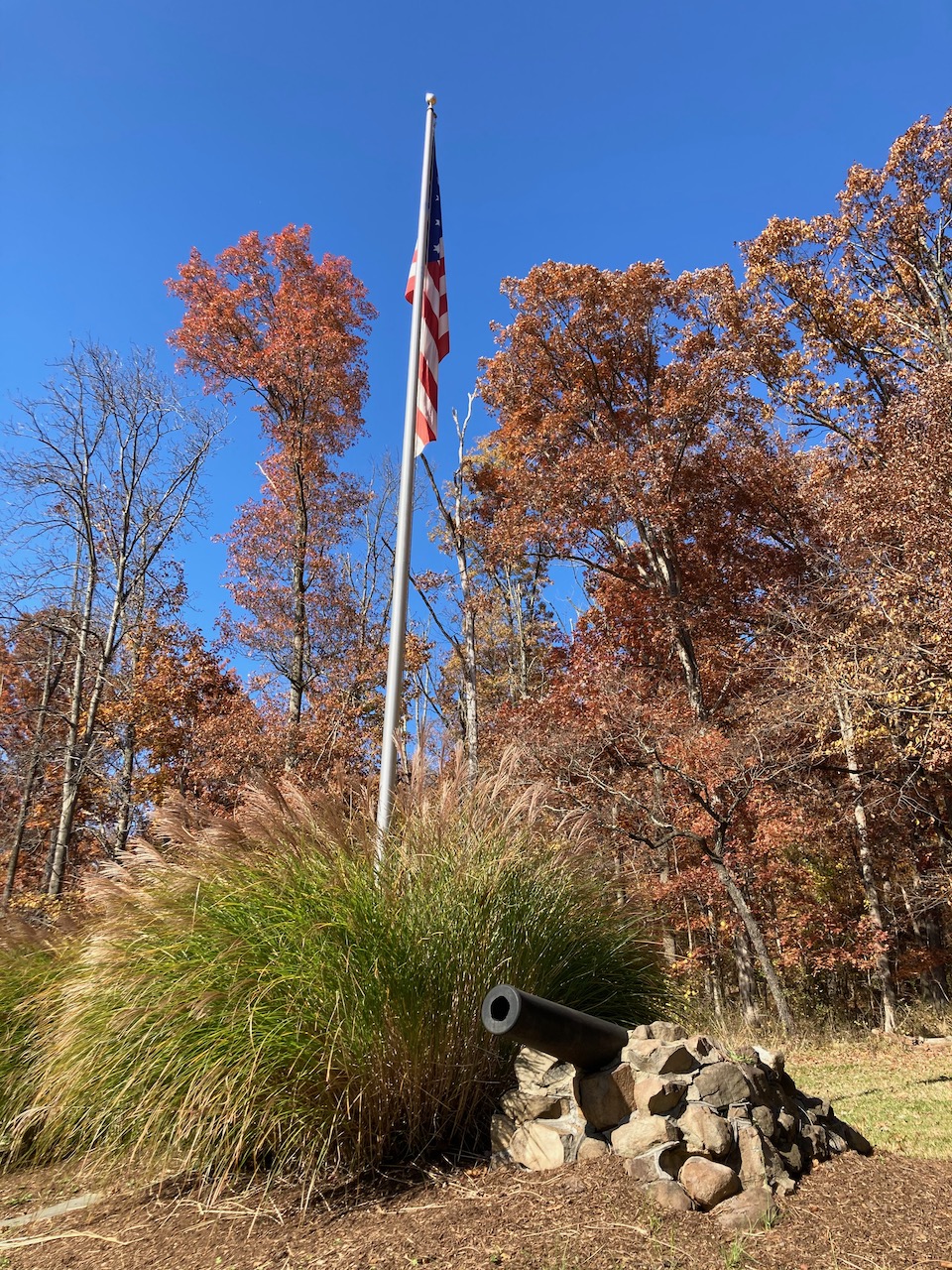 Flag and cannon in front of tree line.