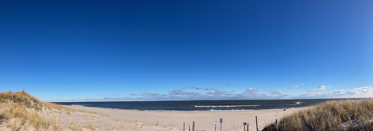 Panorama of beach and dunes.