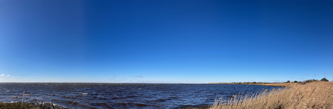 View of Barnegat Bay and marshland.