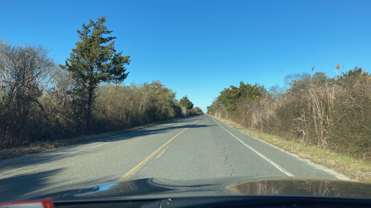 View of empty access road through Island Beach State Park.