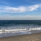 Pre-Holiday Potpourri