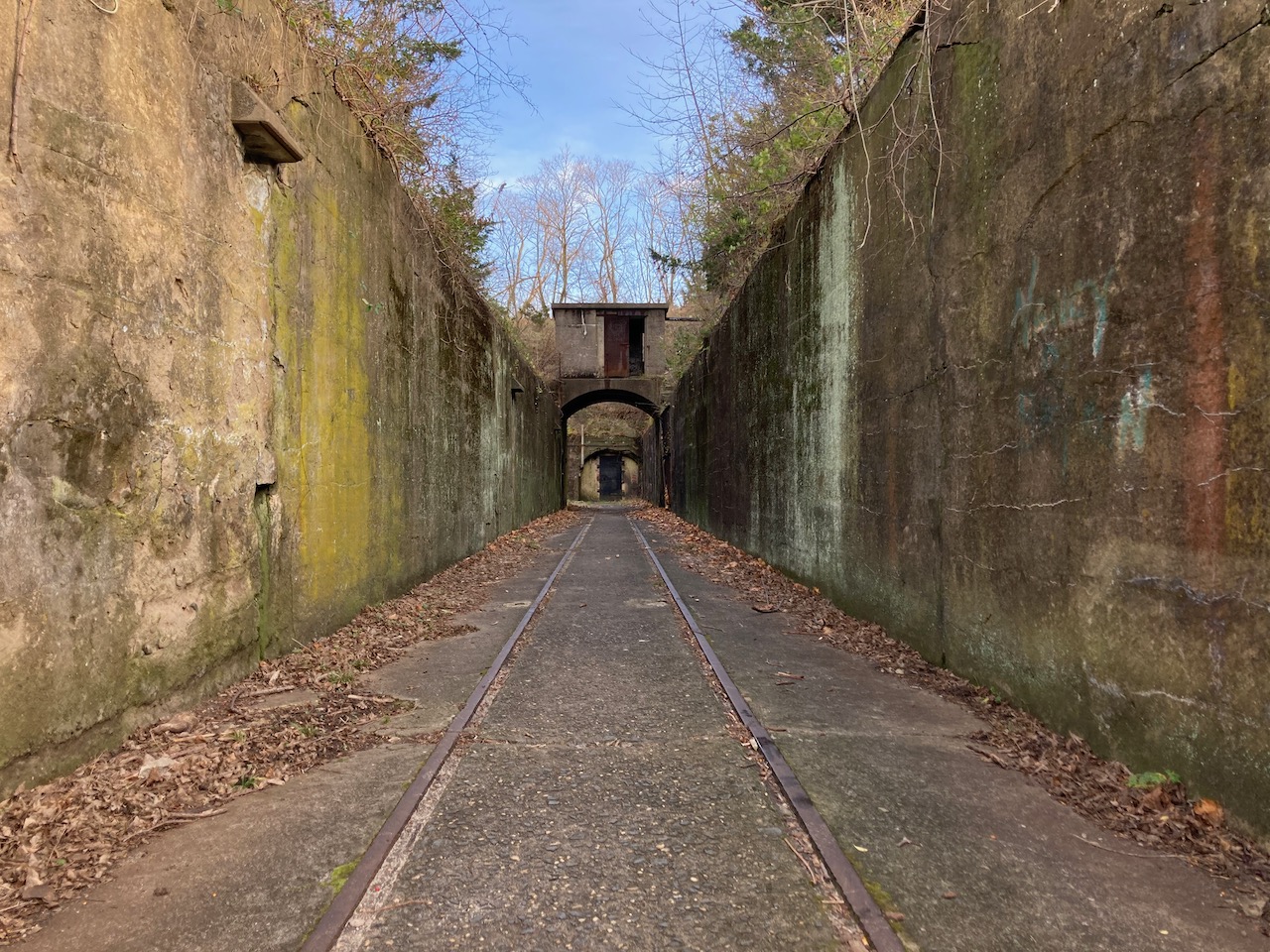 View of mortar battery earthworks.