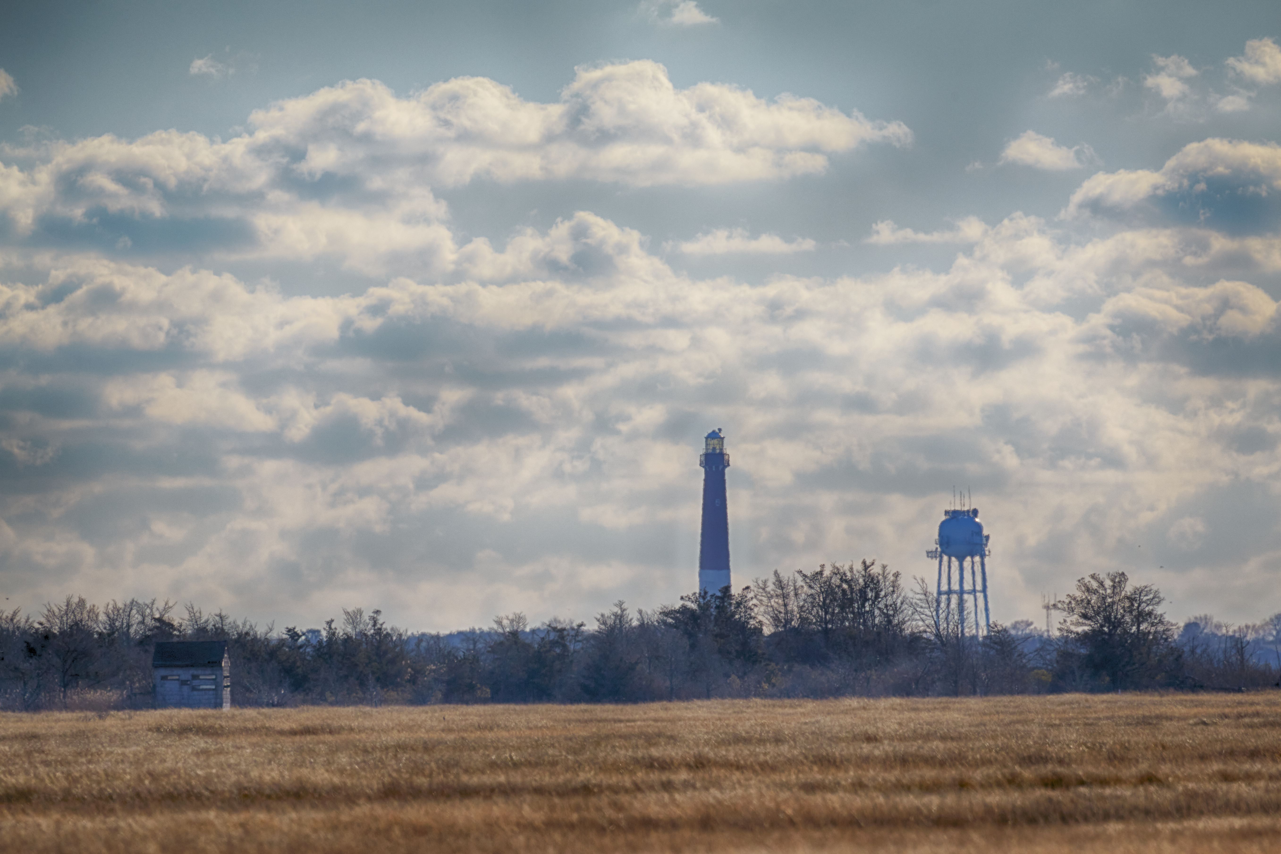 View across marshland, with Barnegat Lighthouse in distance.