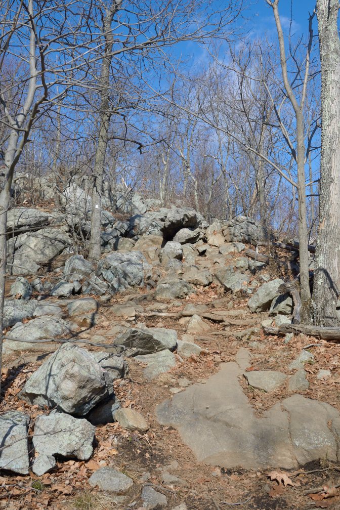 View of rocky hillside, with trees in the distance.