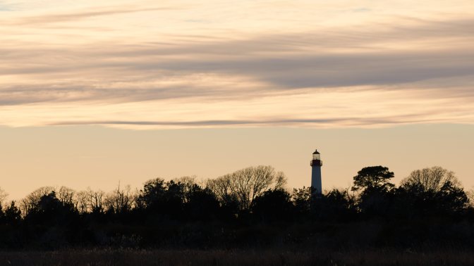 Cape May Lighthouse in distance, behind tree line.