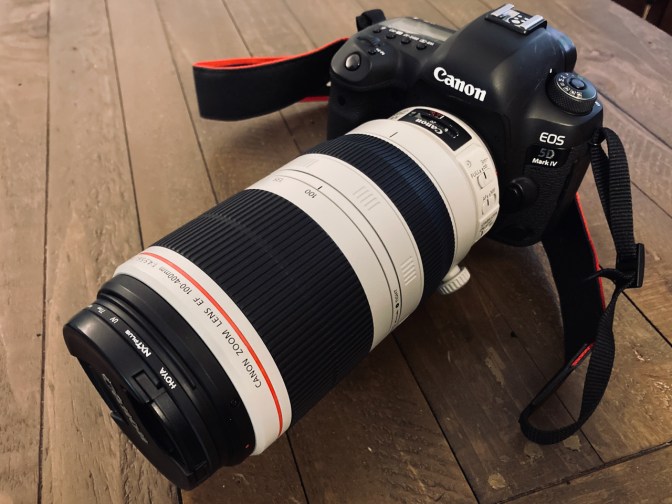 Canon EOS 5D Mark IV with 100-400mm lens on wooden table.