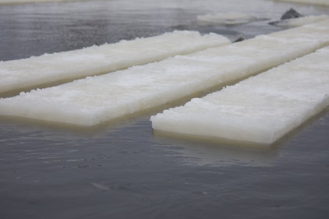 Ice blocks floating on water.