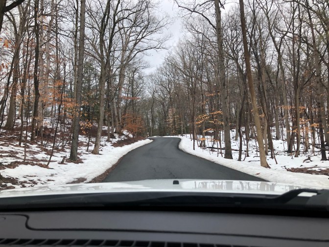 Road through Olana State Historic Site.