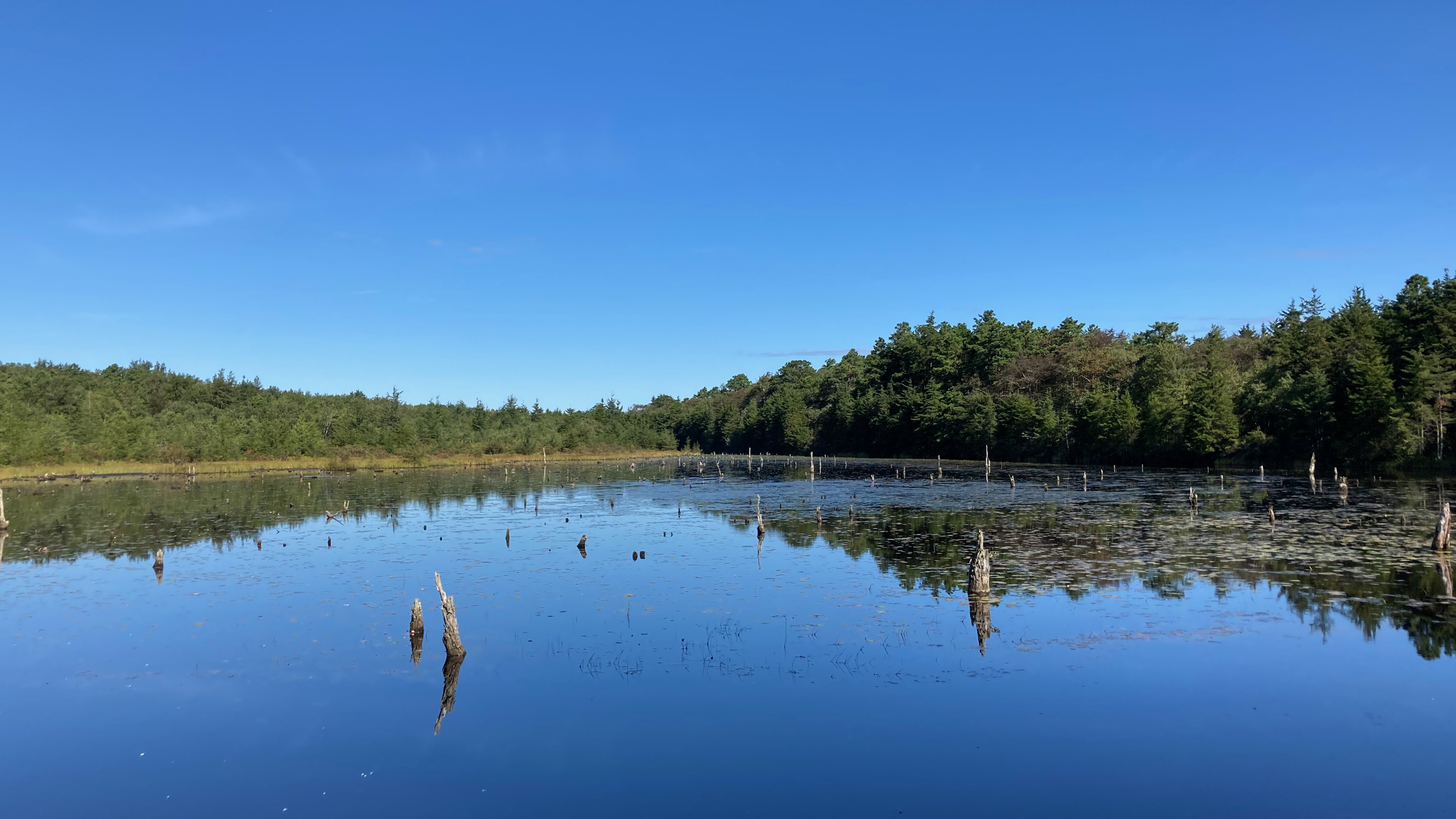 Pond in Double Trouble State Park.