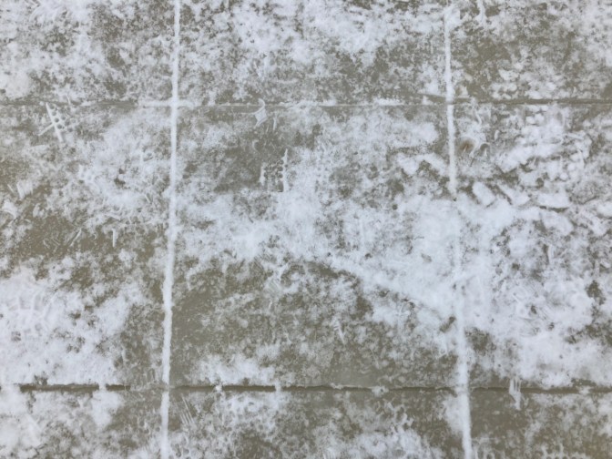 Lines cut into frozen lake.