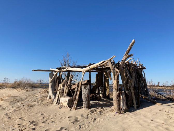 Lean-to along beach.