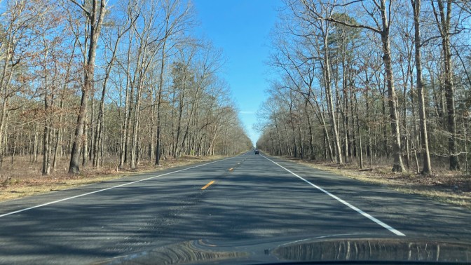 View of tree-lined Route 347.