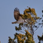 Coastal Explorations.