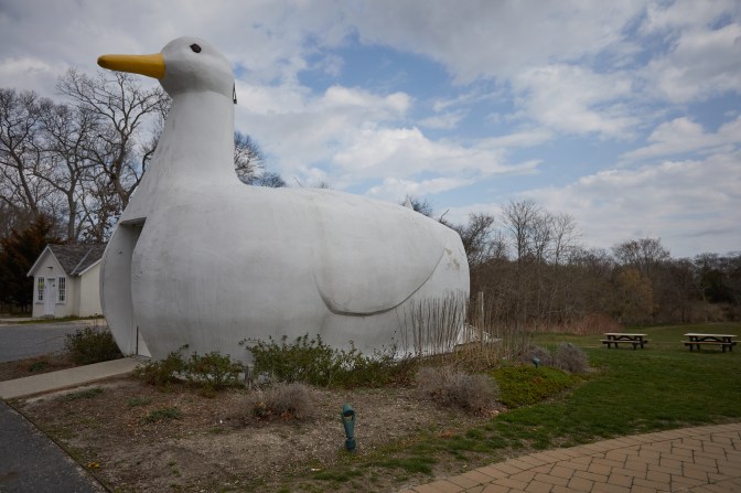 Building designed to look like large white duck.