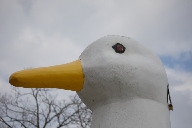 Head of The Big Duck building.