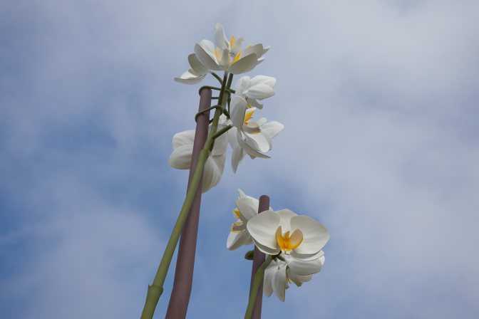Two orchids sculpture, against blue sky.