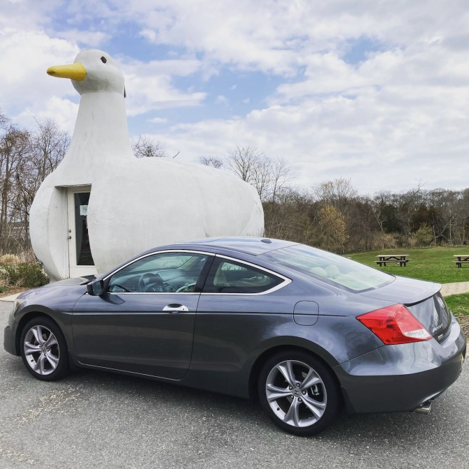 2012 Honda Accord parked in front of The Big Duck.
