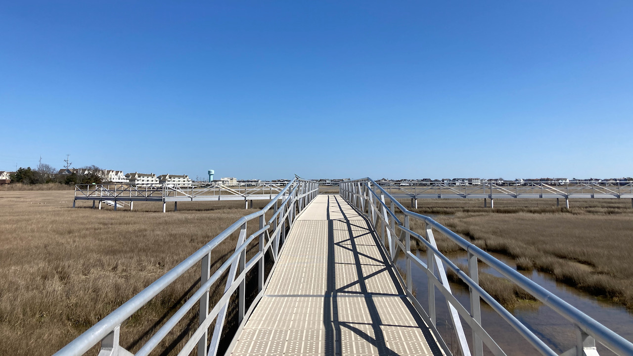 Metal boardwalk through marshland.