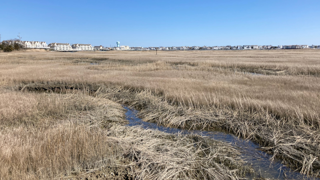 View of marshland, with city of Stone Harbor in distance,.