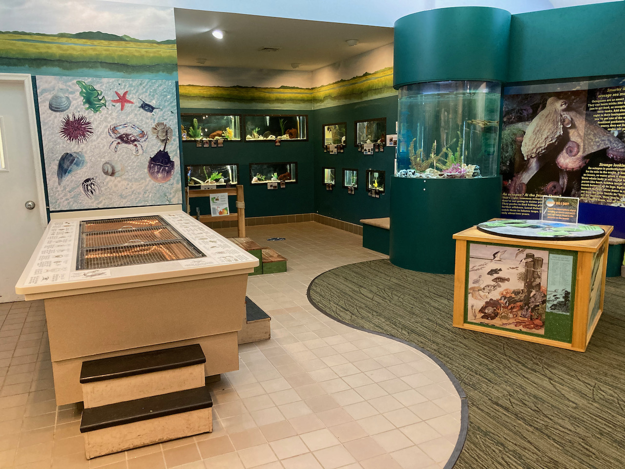 Interior of museum and aquarium.