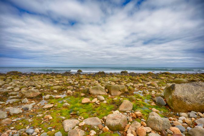 View of rocky shoreline.
