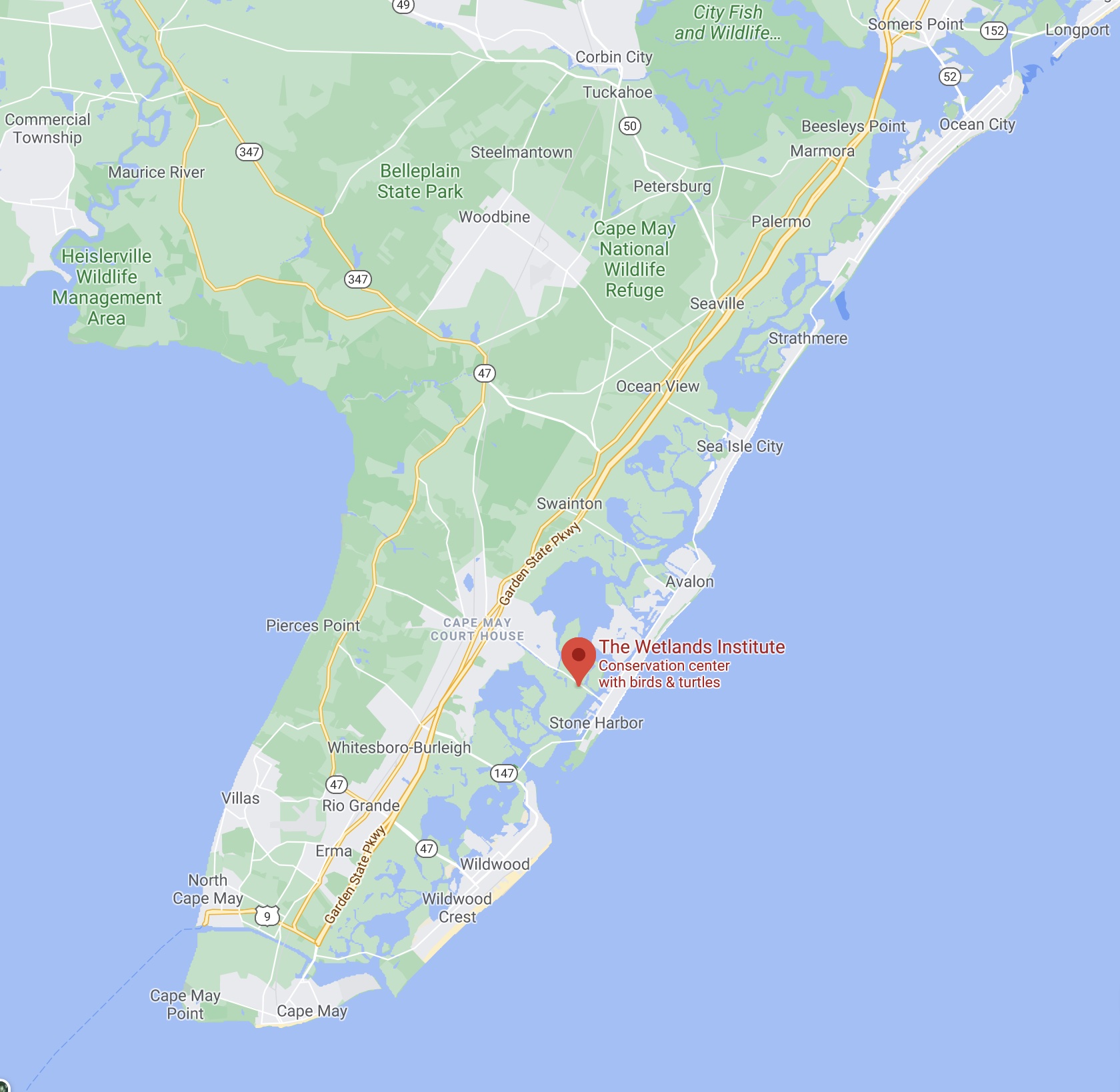 Map of southern peninsula of New Jersey, with red pin in location of The Wetlands Institute.