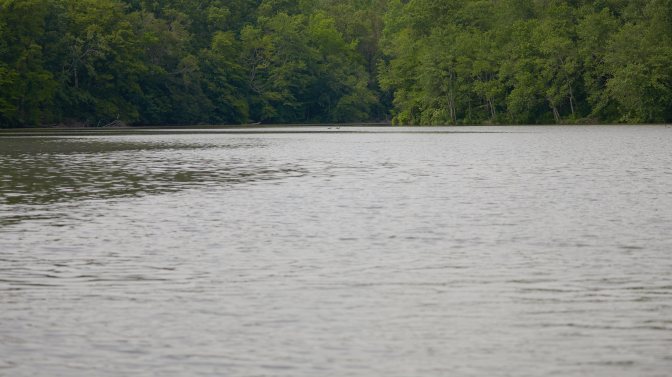 View of Lake Alloway.