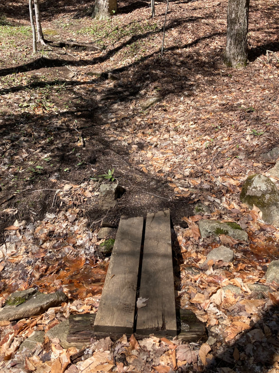 Small bridge over tiny stream in ground.