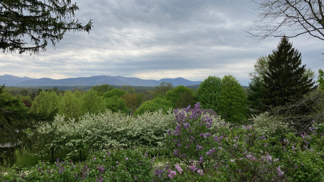 View of Catskill mountains, with flowering trees in foreground.